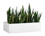 Planter